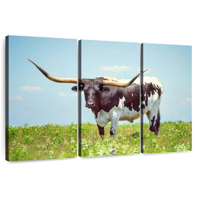 Brampt Longhorn Steer, 32" H x 50" W