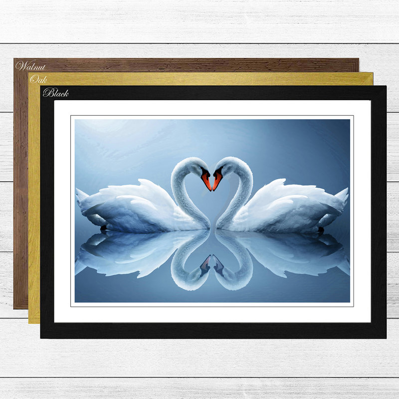 White Swan Love Heart Lake Framed Photographic - Framed Print, Black