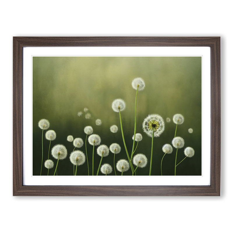 Enthralling Dandelion Flowers 1 Piece Single Picture Frame Painting, 34cm H x 46cm W x 2cm D, Walnut
