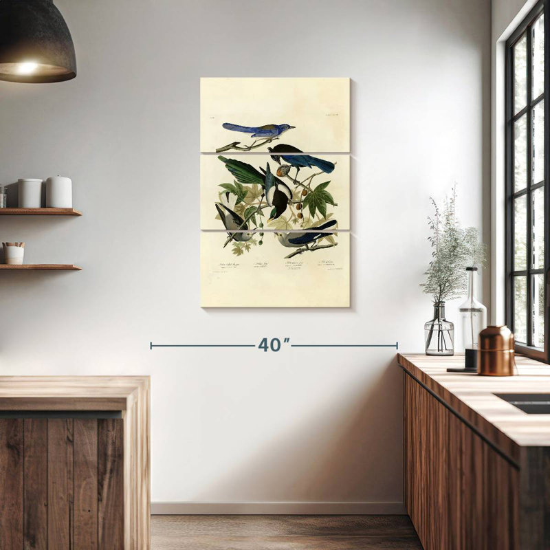 Assiette 362 d'oiseaux d'Amérique