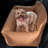 Orthopedic Memory Foam Pet Bed-256374483