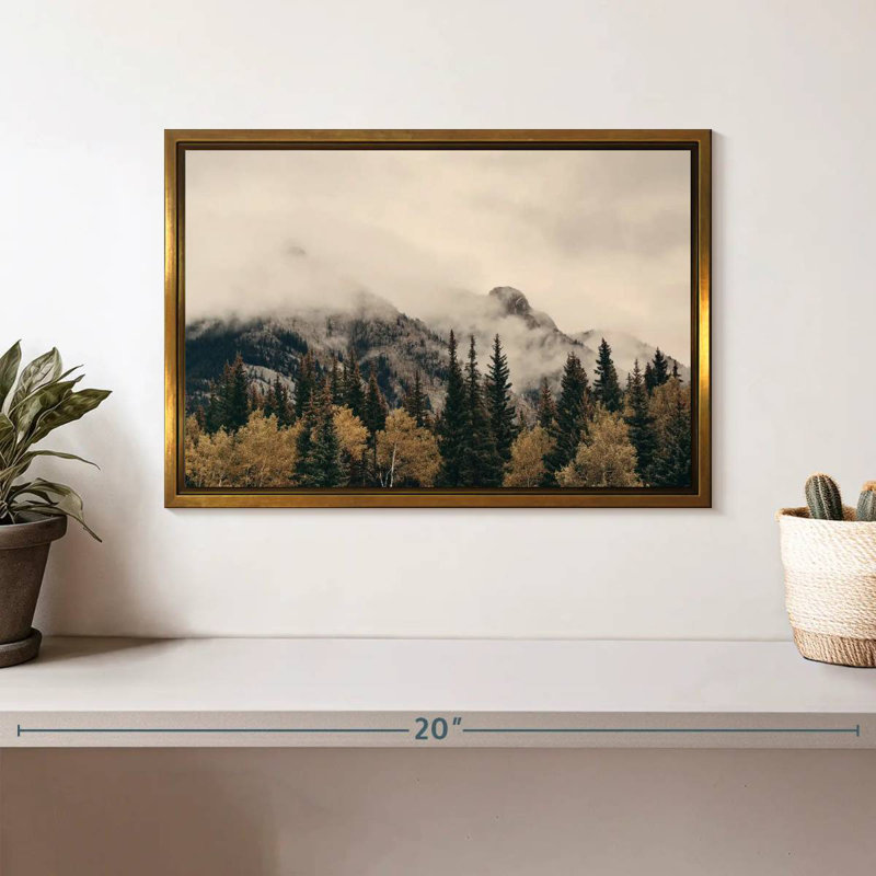 Foggy Banff National Park, Cadre flottant doré, 13 po x 9 po