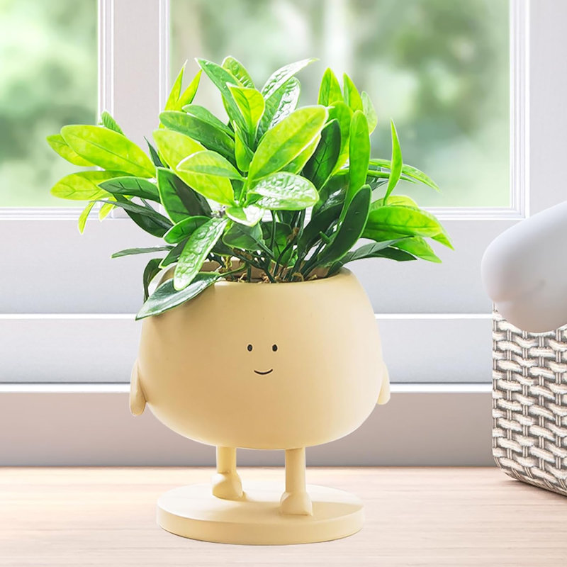 Pots à plantes Smiley