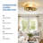 20" Flush Mount Ceiling Fan with Light, Reversible Airflow for Small Rooms
