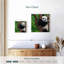 Bramble adorable panda-109391954