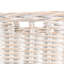2 Piece Rattan General Basket Set