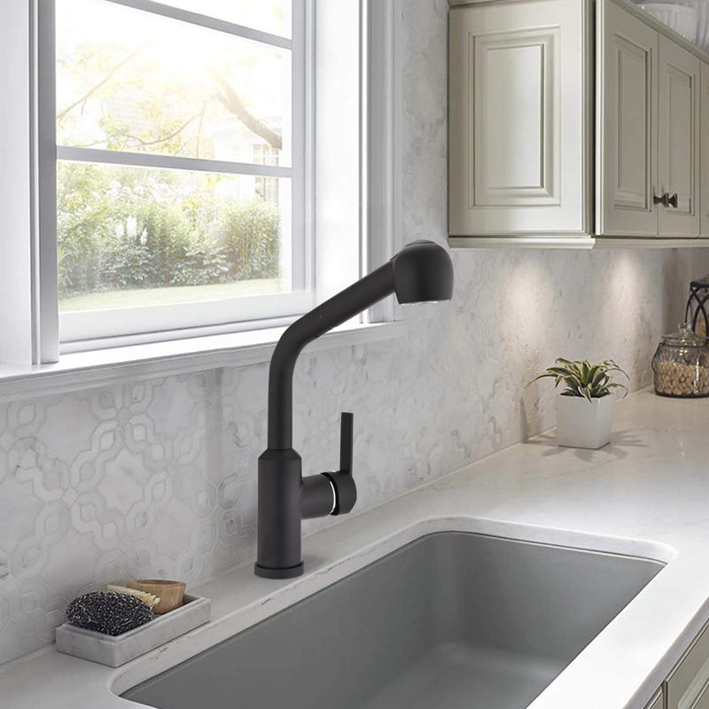 DORNBERG Pull Out Kitchen Faucet, Matte Black