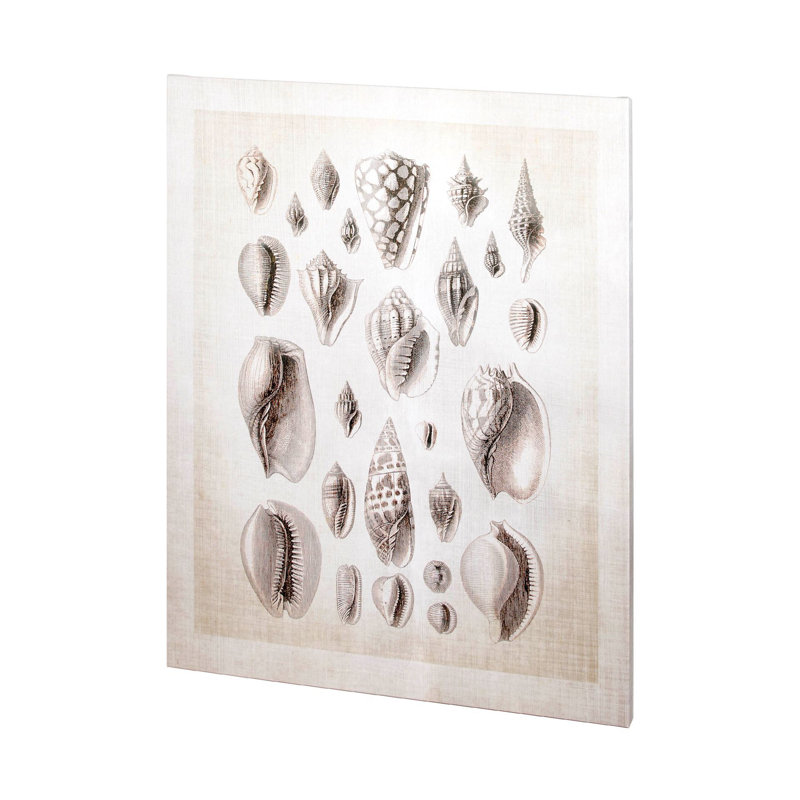 Toile texturée embellie à la main, collection Ocean Shell I par Christopher James a, Ocean Shell Coll I