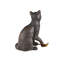 Gatto Bronze
