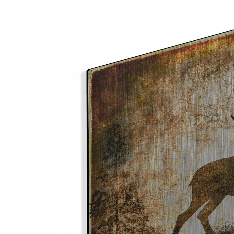 «High Country Deer» par Lightbox Journal sur métal, H 24 po x l 24 po