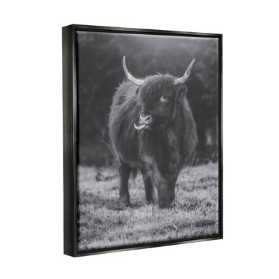 " Monochrome Highland Cow "