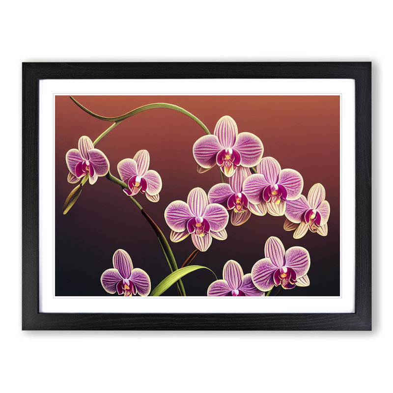 Dashing Orchid Flowers - Framed Print, Black, 25cm H x 34cm W x 2cm D