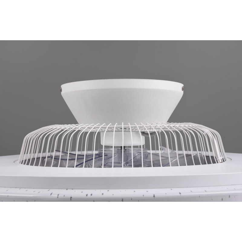 Liola 595cm Ceiling Fan with LED Lights