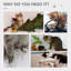 81cm H Cat Tree-467201911