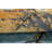 Hand Knotted Silk Rug