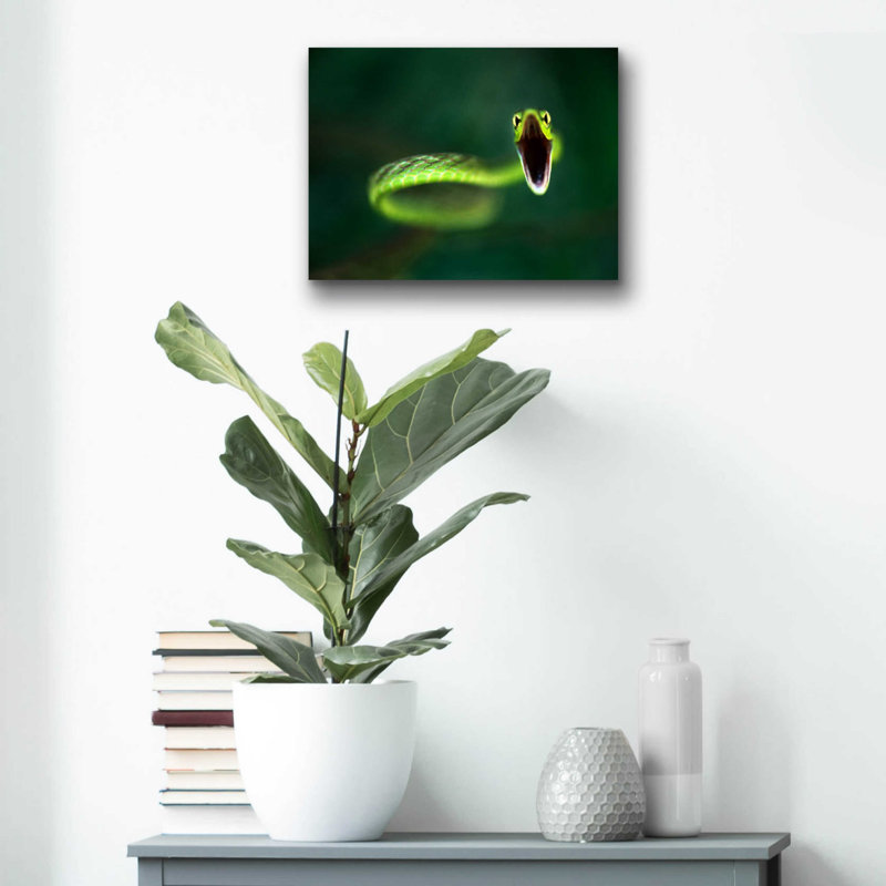 «Vine Snake» par Thomas Haney, H 12 po x l 16 po x P 0,13 po