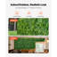 Mur de plante artificielle