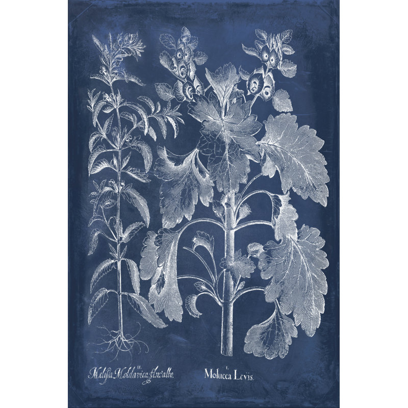 Besler Leaves In Indigo I by Vision Studio - Wrapped Canvas Print, 122cm H x 81cm W