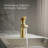 Hint Single-Handle Bathroom Sink Faucet 1.2 GPM-110812227