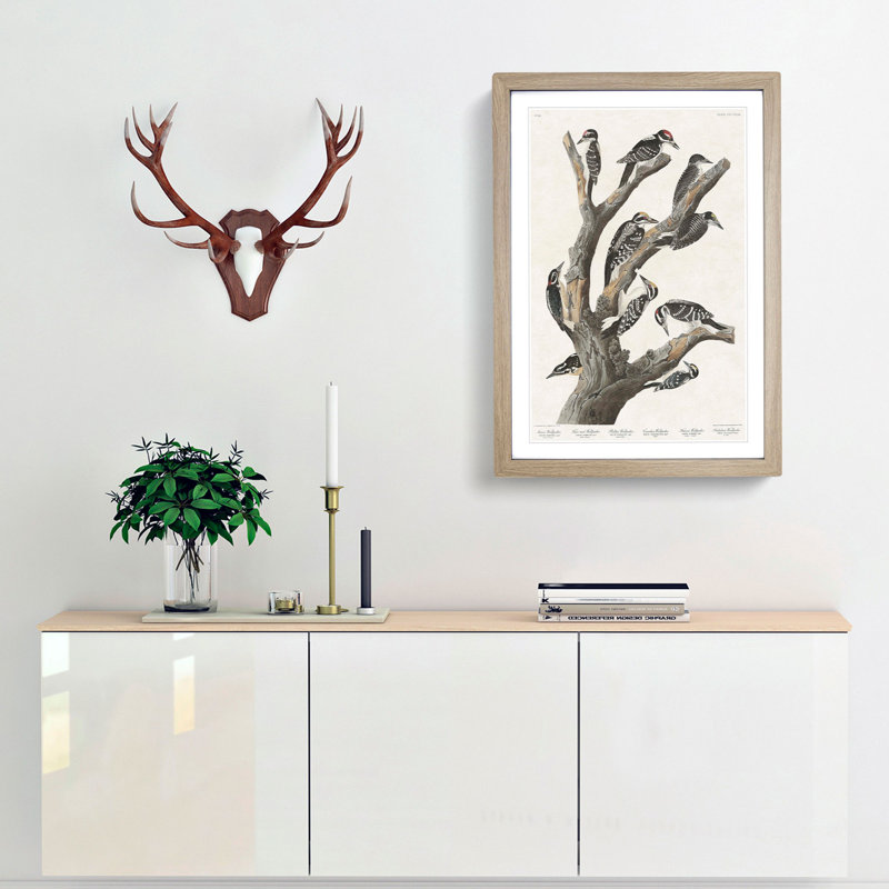 Woodpeckers by John James Audubon - Framed Print, 65cm H x 48cm W x 2cm D, Oak Framed