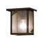 Rustic Lodge 1 - Light Outdoor Wall Lantern