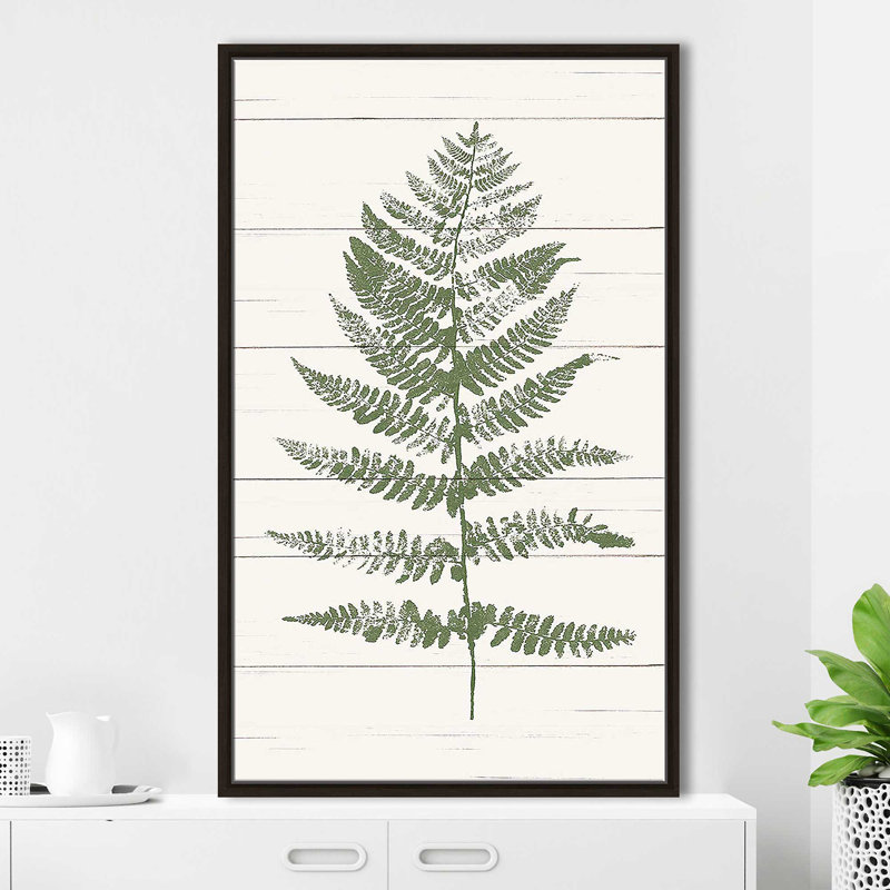 «Fern Print II» par Moira Hershey - impression, H 43,5 po x l 27,5 po x P 2 po, Cadre flottant espresso