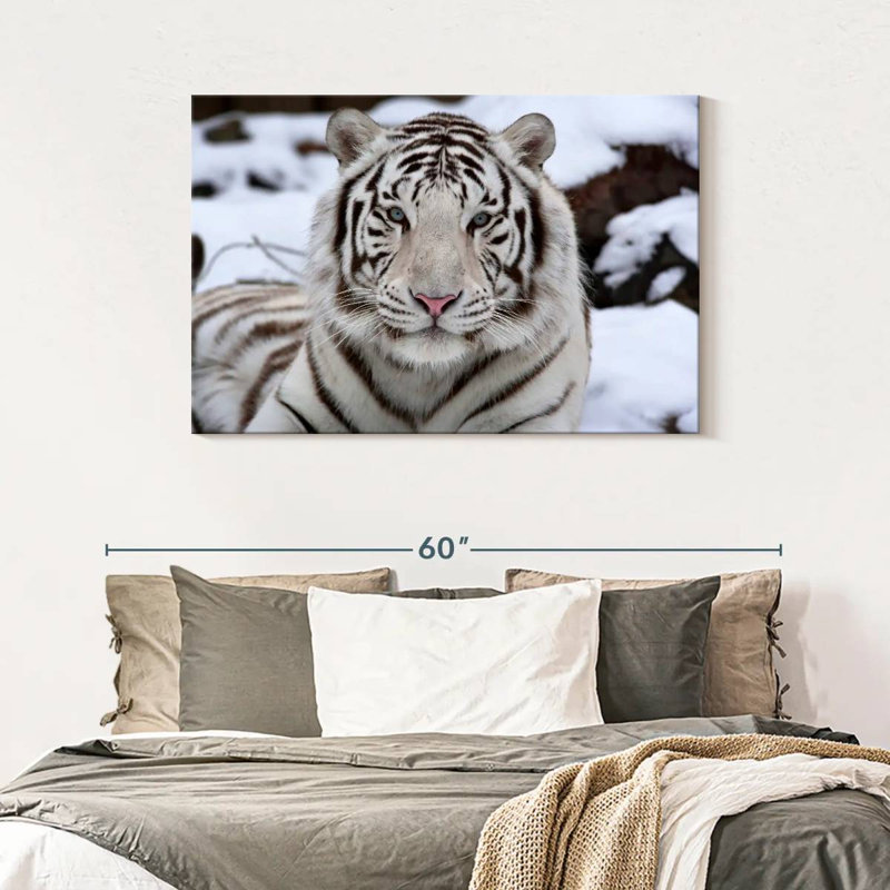 Brampt Glorious White Tiger, 30" H x 45" W