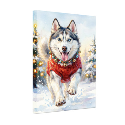 Animals Husky In Red Sweater Winter Scene
