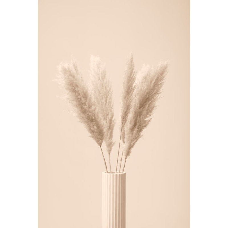 Wrapped Canvas Print, 50.8cm H x 76.2cm W
