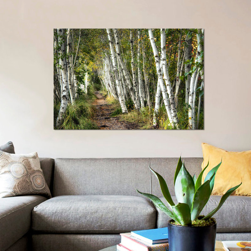«A Walk Through the Birch Trees» par Danny Head - impression d'art graphique, H 18 po x l 26 po x P 1,5 po, Toile tendue