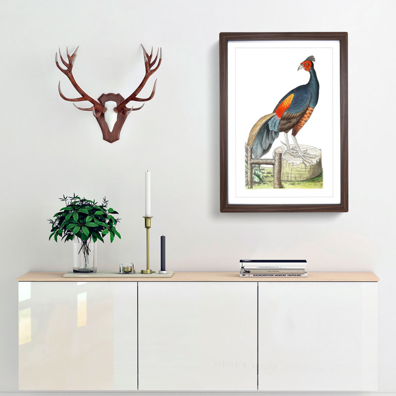 Fire-Backed Pheasant by George Shaw - Framed Print, 48cm H x 36cm W x 2cm D, Walnut Framed