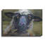 «Bless Ewe» par CR Townsend-386235174