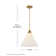 Arti 15-in Pendant Light with On/Off switch