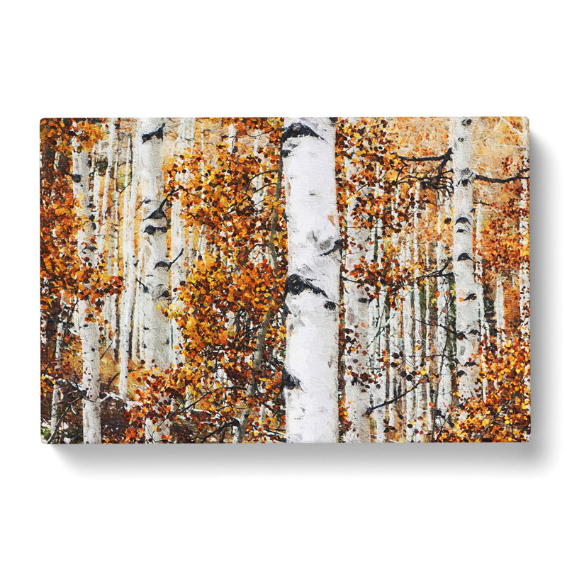 Birch Trees In Autumn - Wrapped Canvas, 50cm H x 76cm W x 3cm D