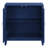 Einstein Blue Finish Console Cabinet-990122704