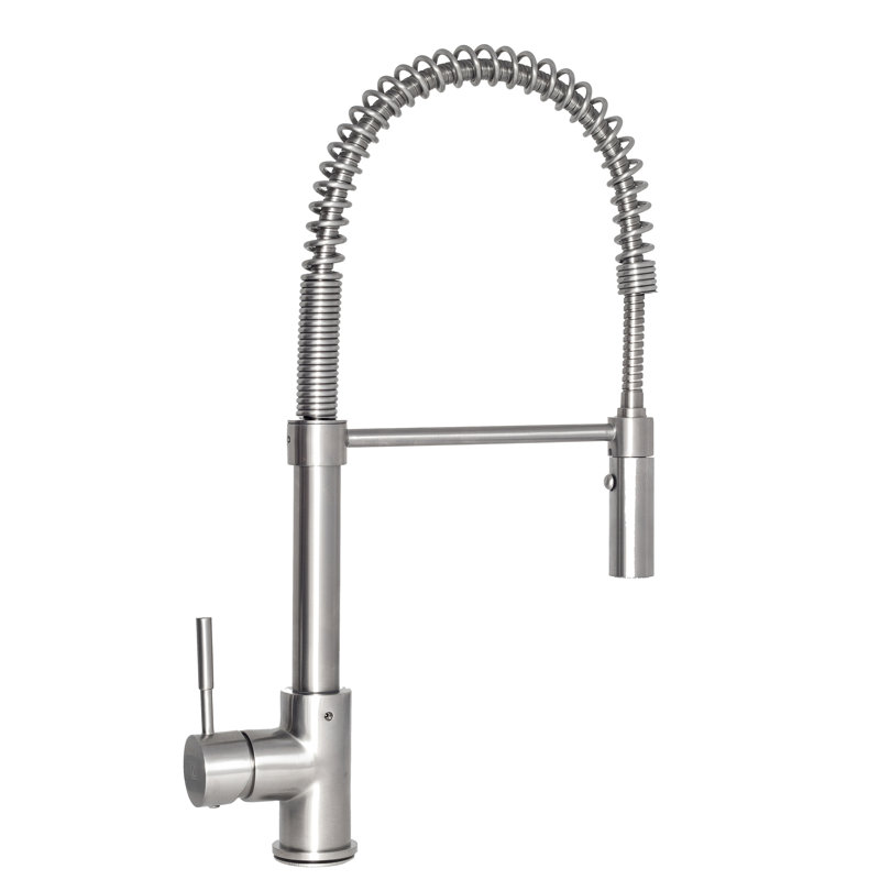 Sierra Pull Down Single Handle Kitchen Faucet with Side Spray and Accessories, Stainless Steel