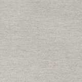 Area Rug in Gray