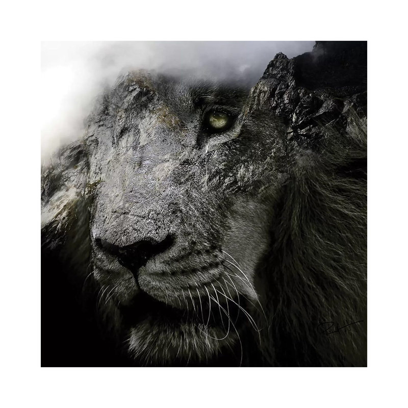 Wise King by Paul Haag - Wrapped Canvas Print