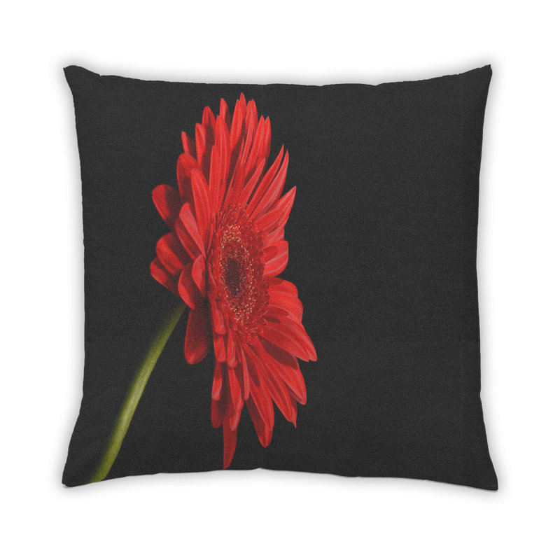 Coussin décoratif Color Focus, Microsuède