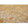 Oriental Area Rug