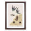 Swallow Birds by John James Audubon - Framed Print-55642172-55642173