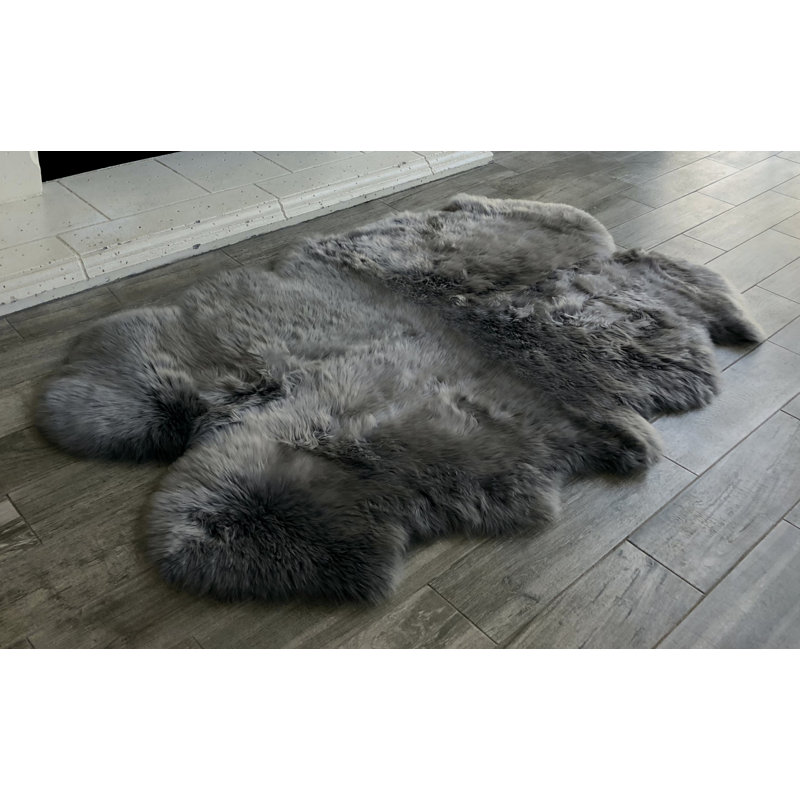 Tapis Novelty Borge, Nouveauté 3 pi x 5 pi 6 po