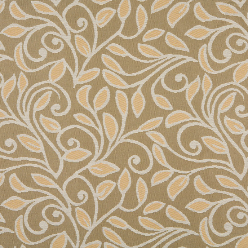 Fabric