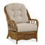  Everglade Rattan Arm Chair-27525520-86507434