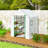 5 Ft W x 5 Ft D Walk-in Greenhouse
