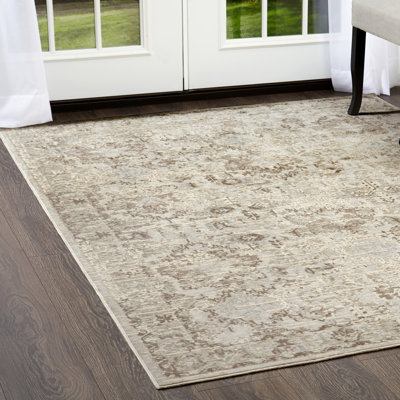 Oriental Indoor Rug