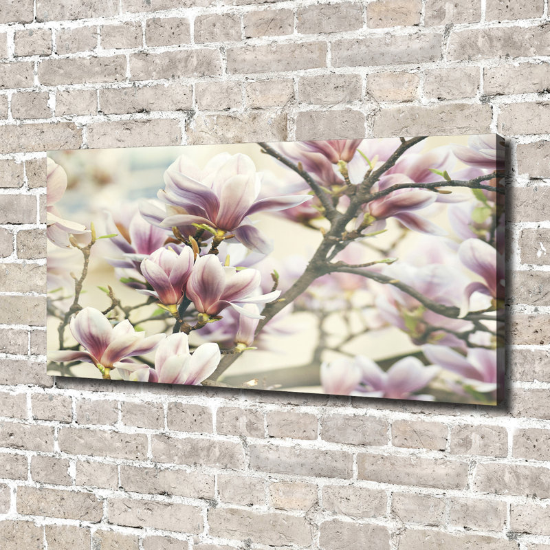 Magnolia - Wrapped Canvas Print