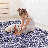 MAVAL Anthracite Washable Rug 4X6 Area Rug (Anthracite, 4' X 6')-2121704918