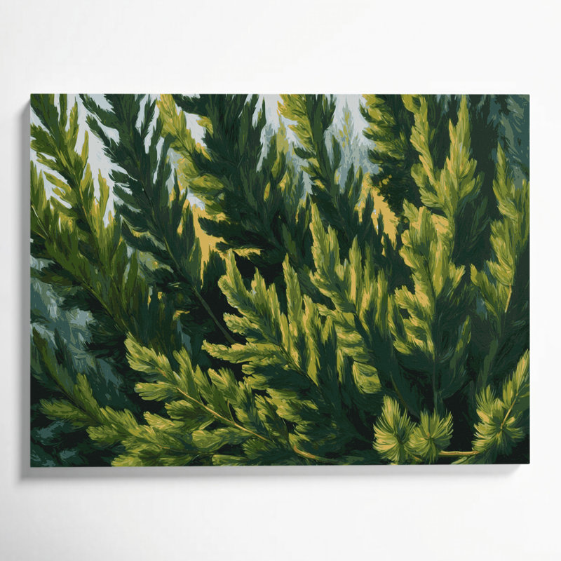 Art mural sur toile Botanical Cedar Boughs, H 11 po x l 14 po