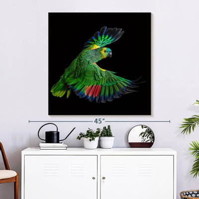 Brampt Flying Parrot